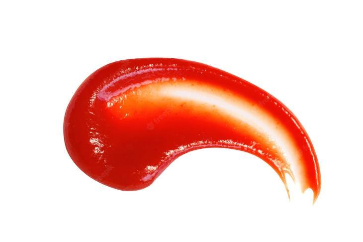 Salsa de Tomate x 5 litros